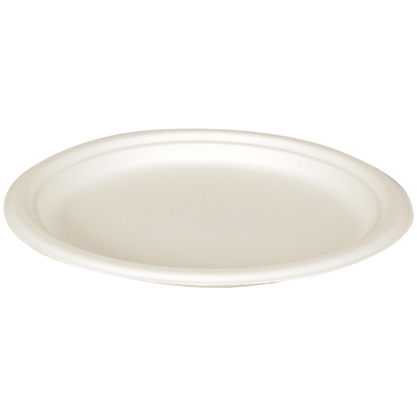 Teller rund ungeteilt d-24cm